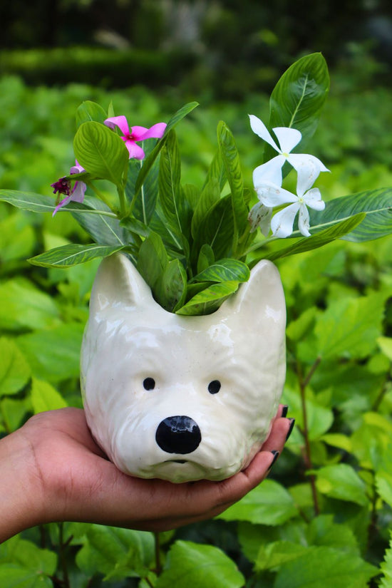 pomeranian dog planter made by ceramic