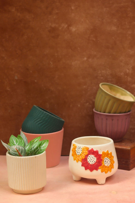 Set of 6 Bloom & Grow Planters (for the price of 5)