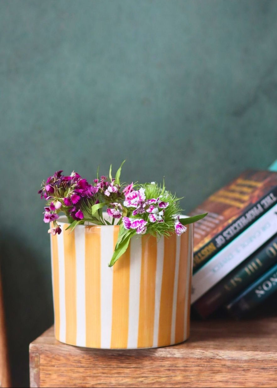 Striped Planter - Yellow with premium quality material