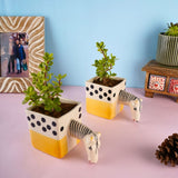 quirky horse planter with cute horse design