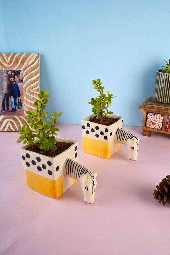 quirky horse planter with cute horse design