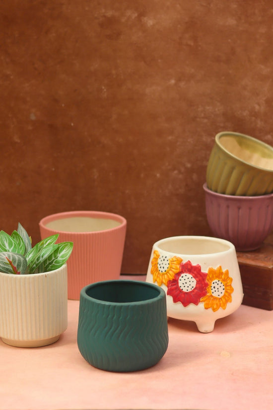 Set of 6 Bloom & Grow Planters (for the price of 5)