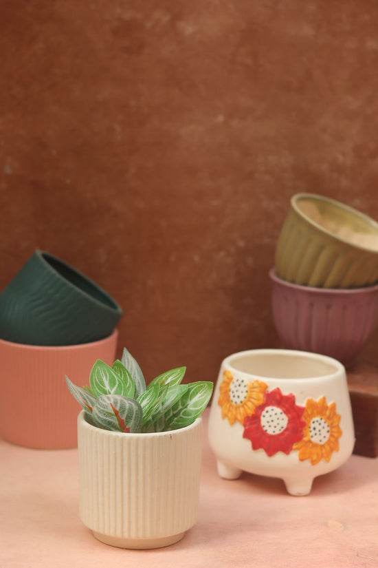 Set of 6 Bloom & Grow Planters (for the price of 5)