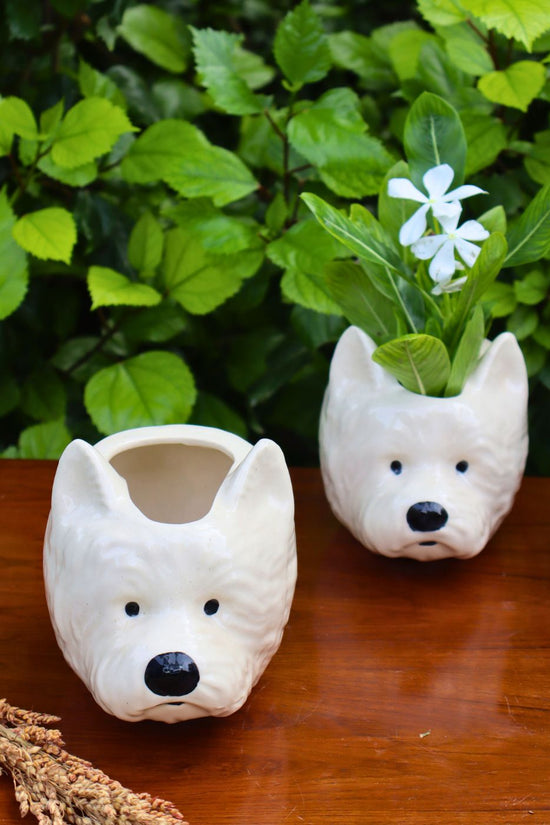 pomeranian dog planter with premium quality material
