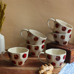 Anar Mugs - Set of 6 with premium quality material