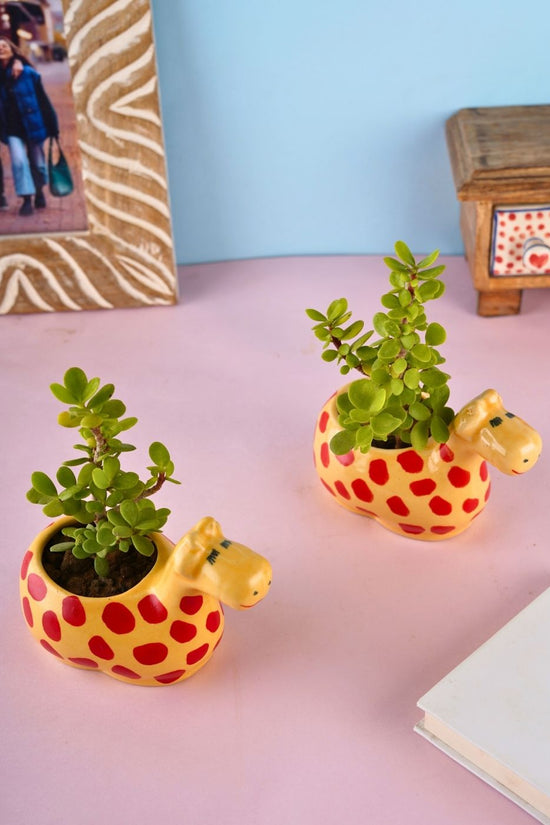 giraffe table planter with cute giraffe design