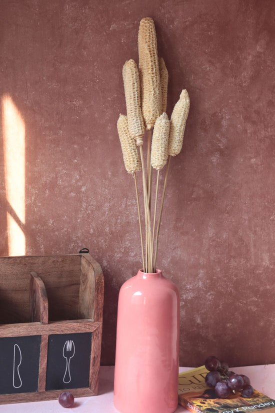 handmade Dried Corn Bunch