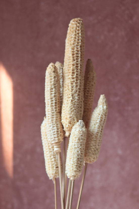Dried Corn Bunch handmade in india