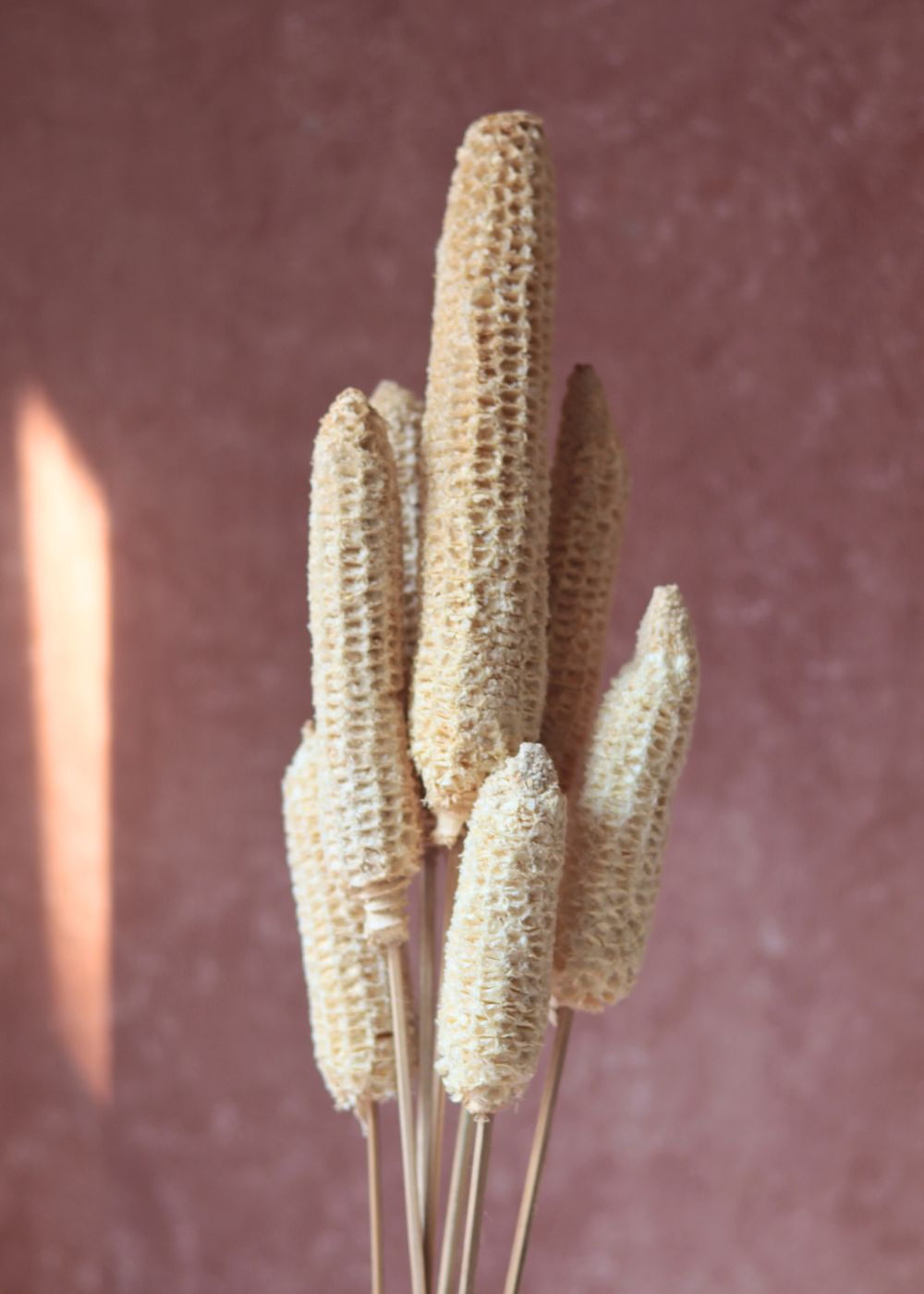 Dried Corn Bunch handmade in india