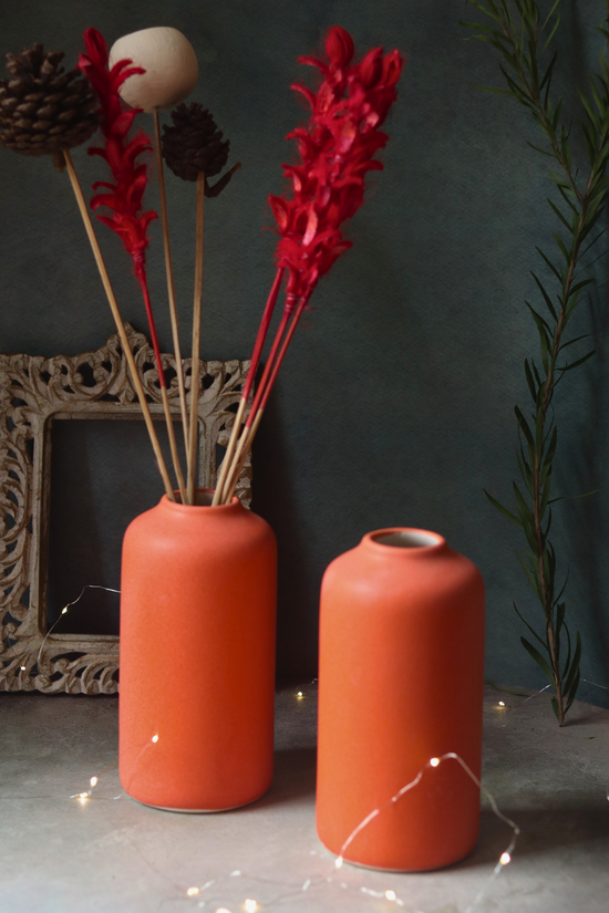 Two flower pots with flowers 