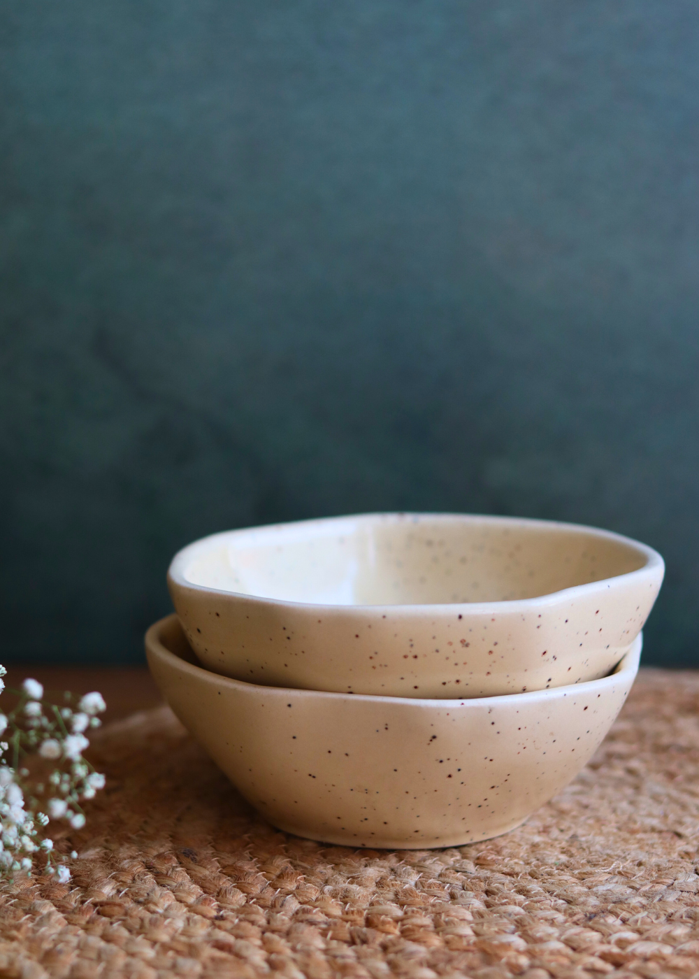 dinnerware bowl with basic creamy color 