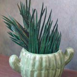 cactus planter made by ceramic 