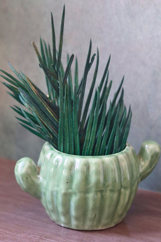 cactus planter made by ceramic 