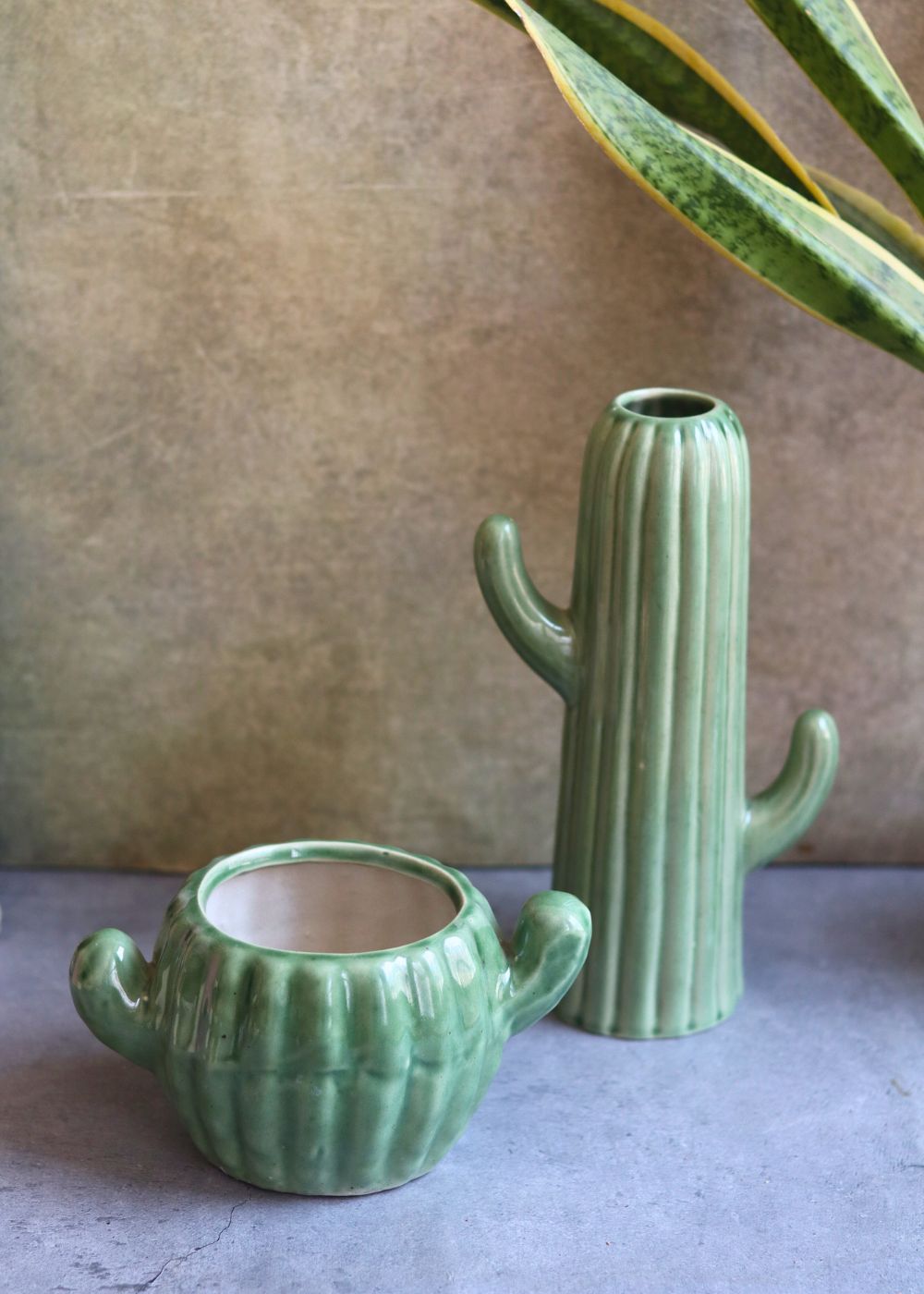 Cactus planter & vase combo made By ceramic 