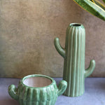 Cactus planter & vase combo made By ceramic 