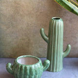 Cactus planter & vase combo made By ceramic 