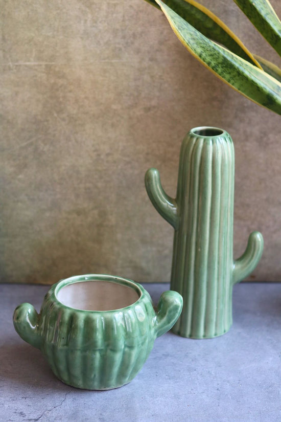 Cactus planter & vase combo made By ceramic 