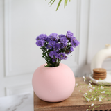 Round Planters - Baby Pink & Light Green