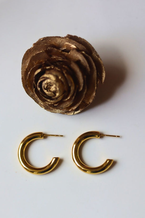 Hypoallergic everyday earrings - small