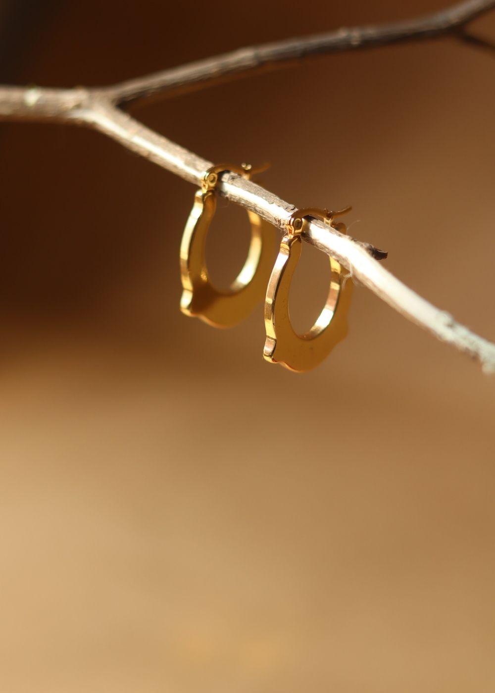 Essential Gleam Earrings with premium quality material