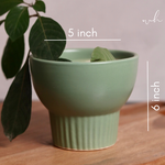 Green bloom planter height & breadth
