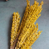 Wheaty Floral Bunch