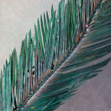 dried date palm leaf for you home decor 