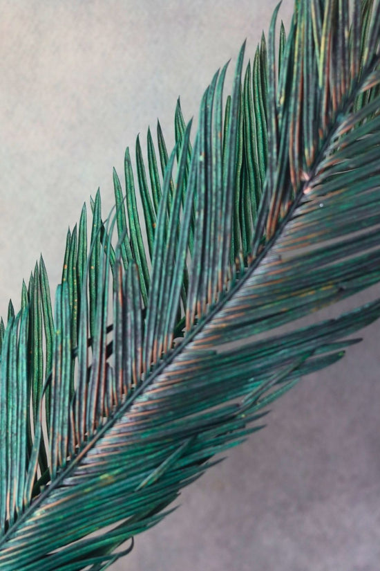 dried date palm leaf for you home decor 