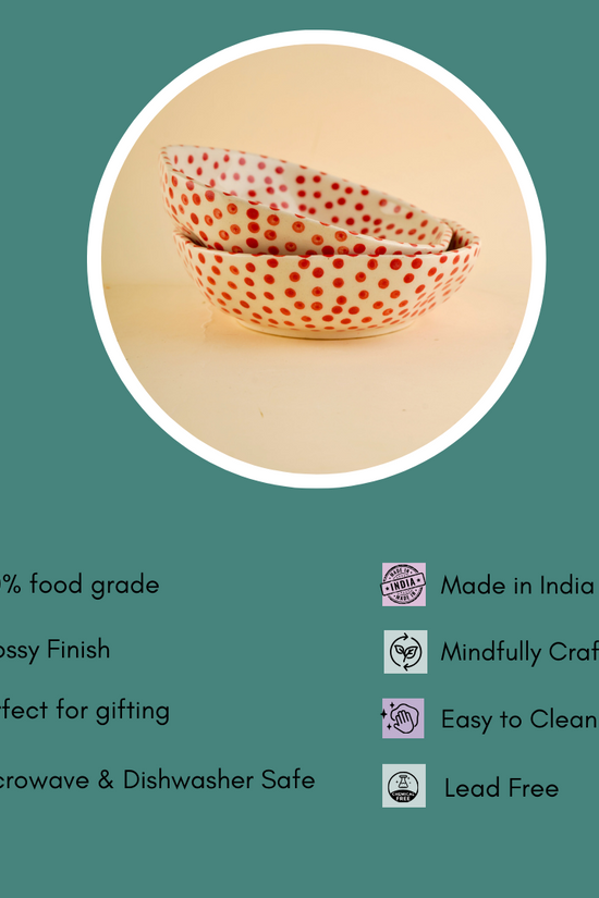 red polka bowl with some details