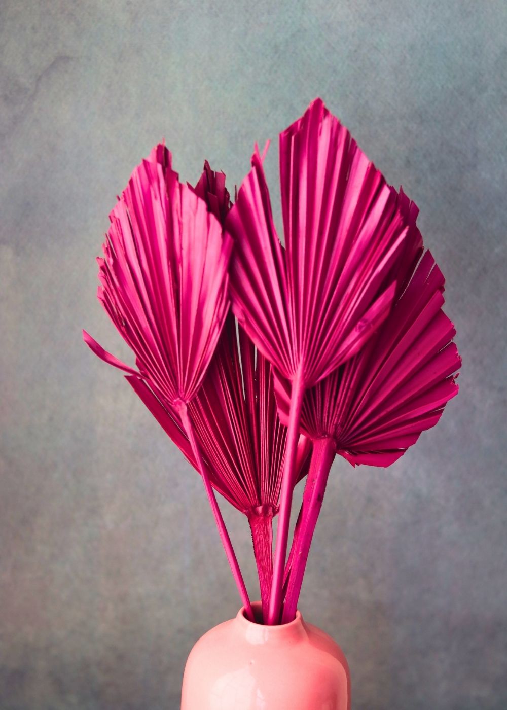 magenta palm leaf bunch for your home decor