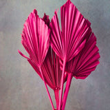 magenta palm leaf bunch for your home decor