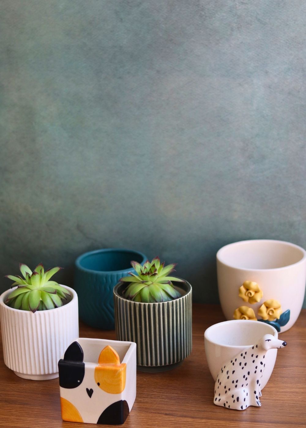 set of 6 aesthetic planter made by ceramic 