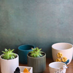 set of 6 aesthetic planter made by ceramic 