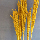 Wheaty Floral Bunch