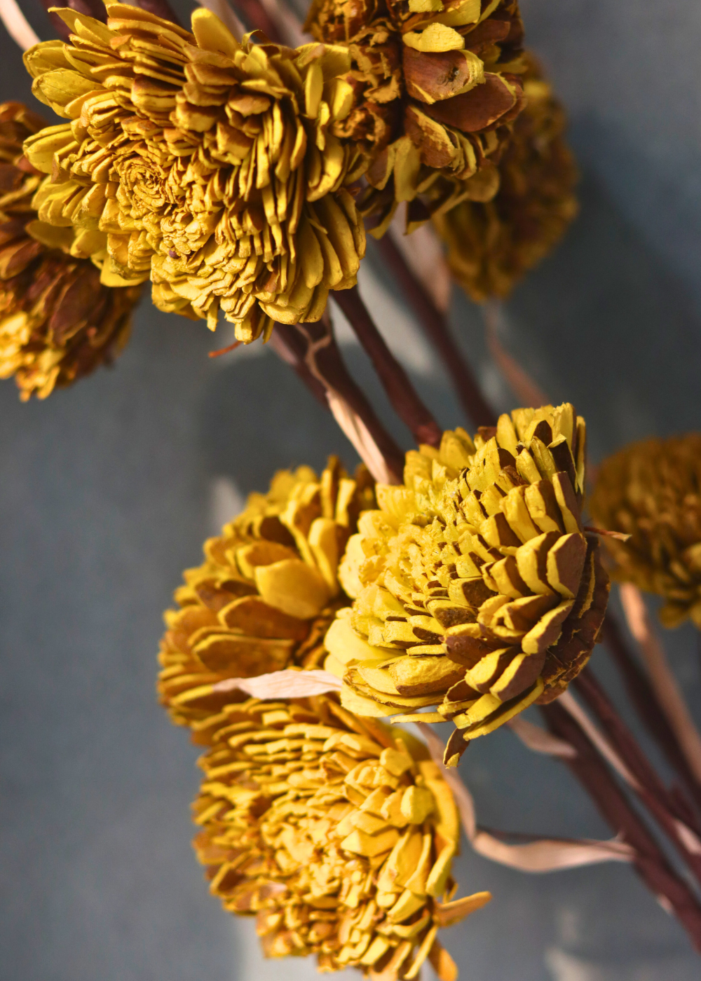 Stunning dried natural flower bouquet 