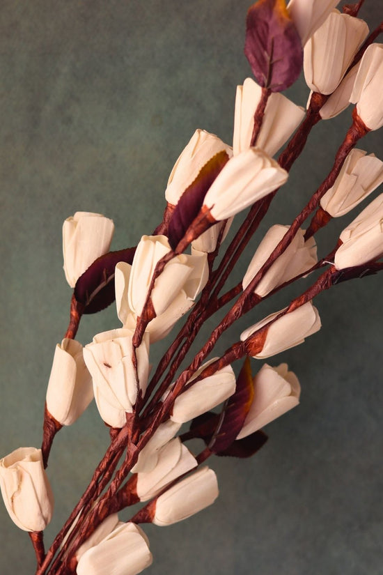 bud tulip bunch with premium quality