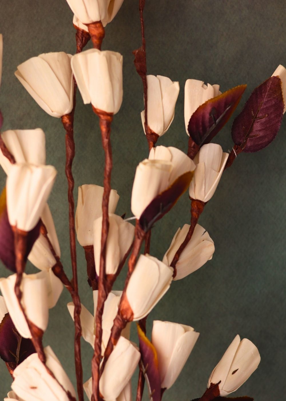 Bud tulip bunch for your home decor 