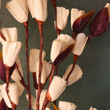 Bud tulip bunch for your home decor 