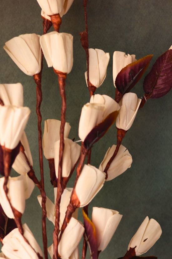 Bud tulip bunch for your home decor 