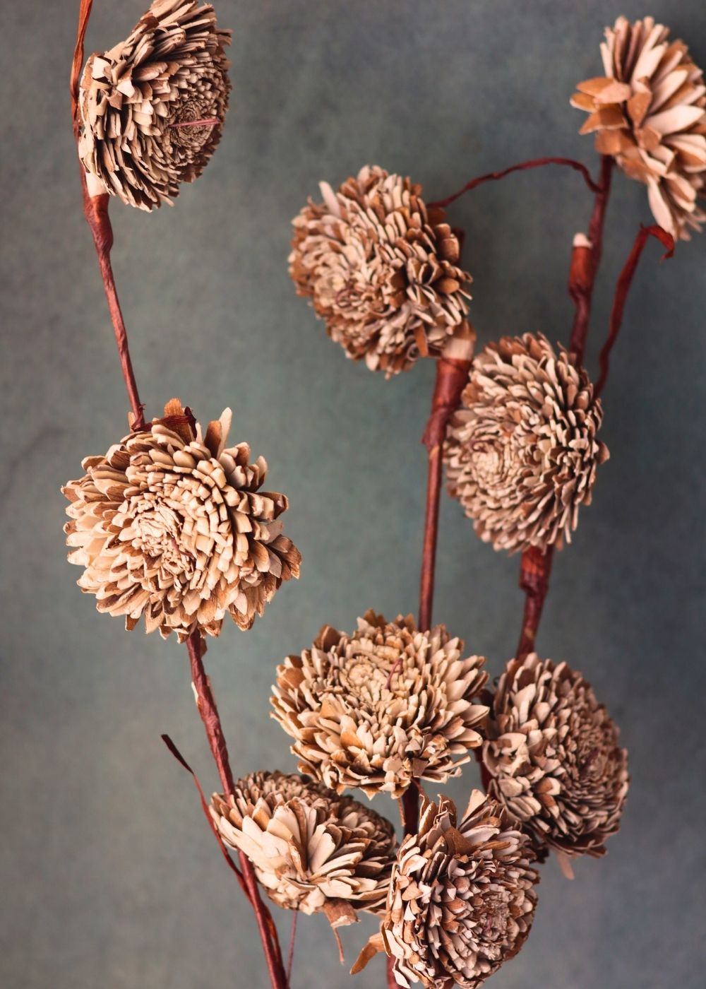 brown chrysanthemums bunch handmade in india 