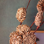 brown chrysanthemums bunch for your home decor 