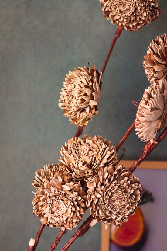 brown chrysanthemums bunch for your home decor 