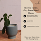 Grey Mushroom Planter