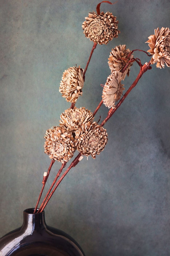 brown chrysanthemums bunch with premium quality