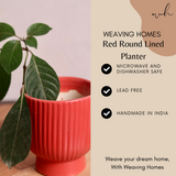 Red round lined planter signification