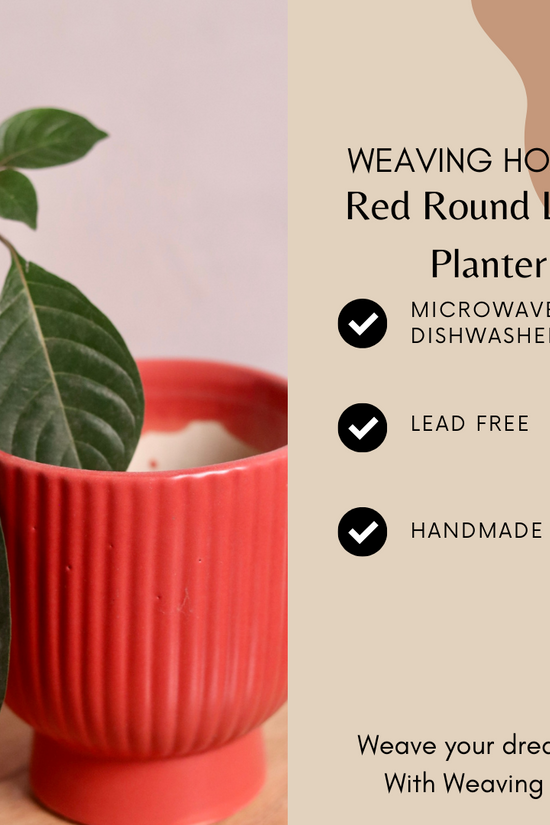 Red round lined planter signification