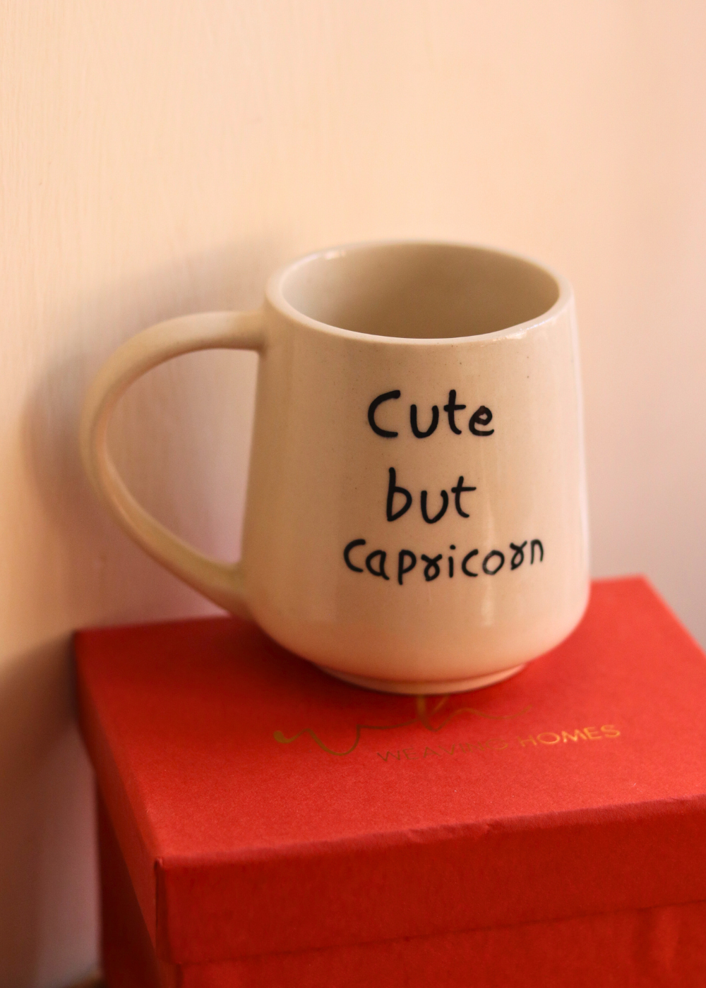 cute but capricorn mug in a gift box with premium quality gifting