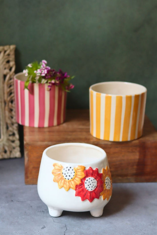 Set of 3 - Striped & Floral Bliss Planters with premium quality material