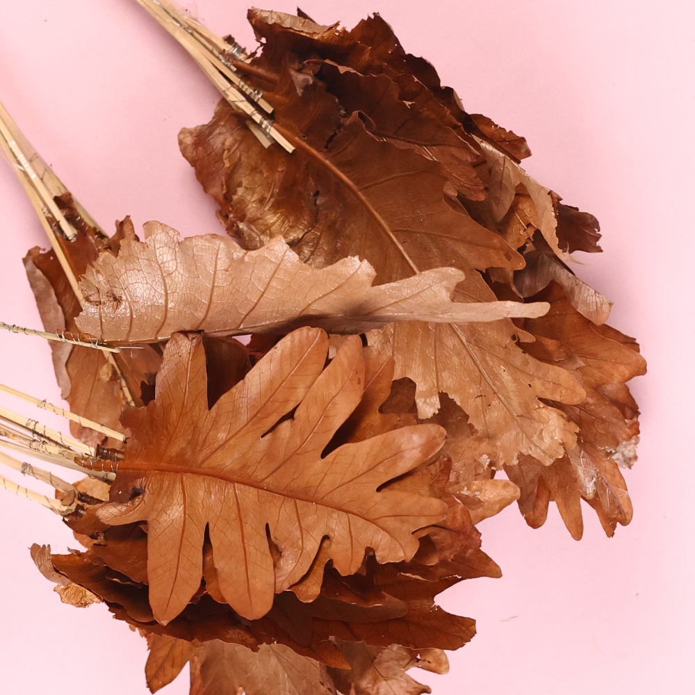 Dried natural leaf bunch