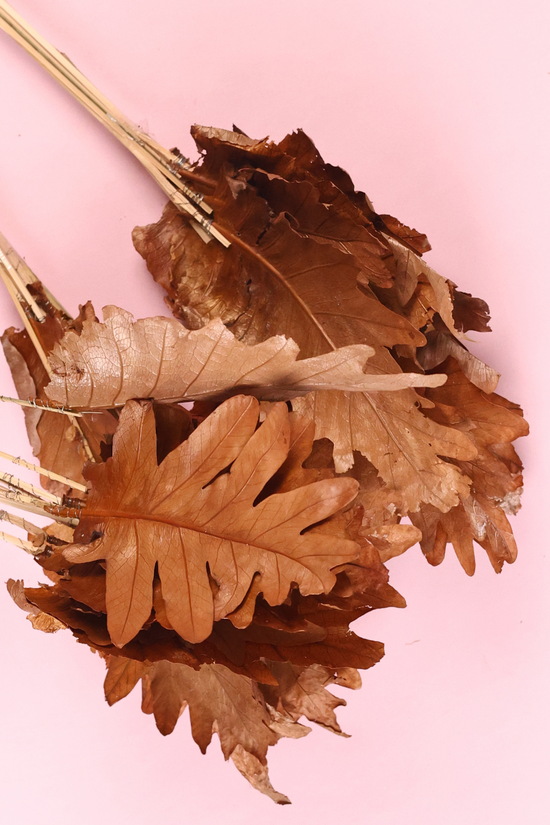 Dried natural leaf bunch